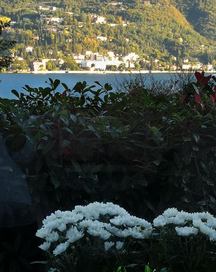 B&B Le Farfalle San Felice del Benaco Exterior foto